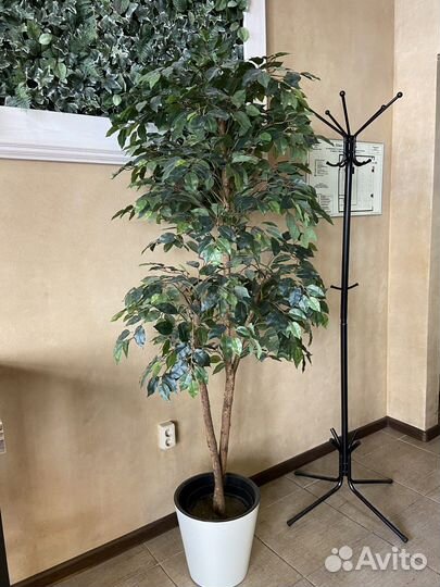 Декоративное дерево