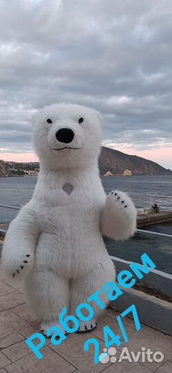 Белый Мишка поздравление ростовой медведь