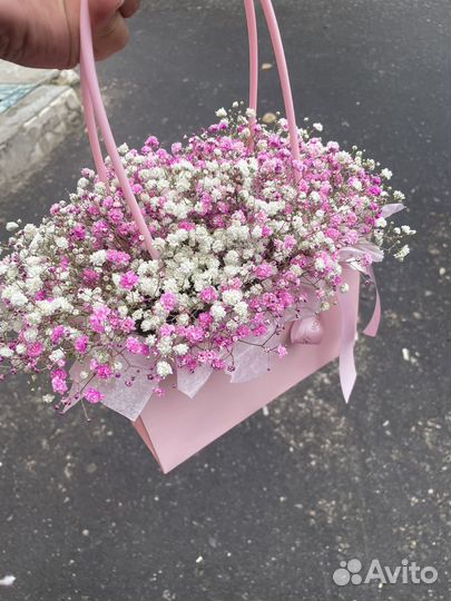 Букет из гипсофилы в коробке