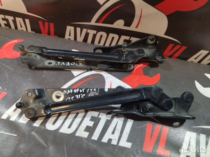 Петли багажника пара Ford Focus 2