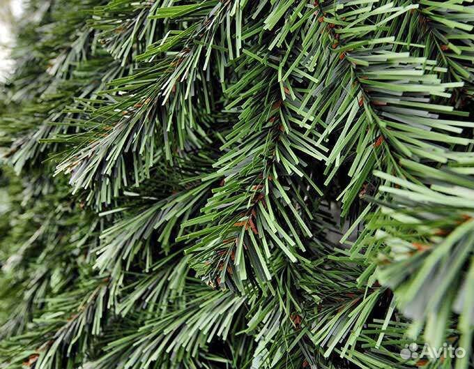 Корм для попугаев, хвоя свежая, копошилки