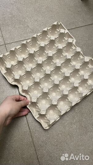 Ячейки для яиц