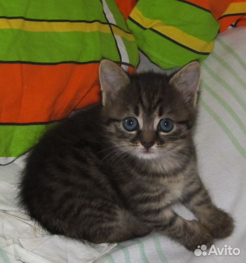 Очаровательные малыши