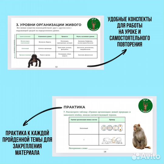 Репетитор ОГЭ/ЕГЭ по химии и биологии 2025