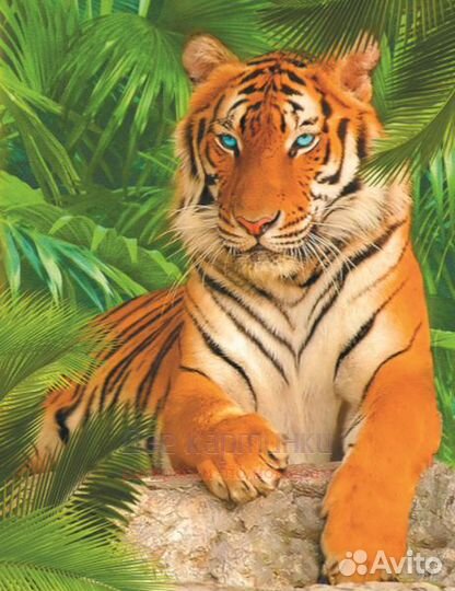 Алмазная мозаика 40x50 Гордый голубоглазый тигр