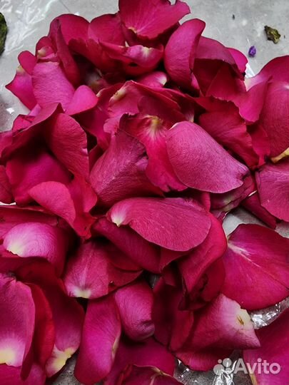 Лепестки роз