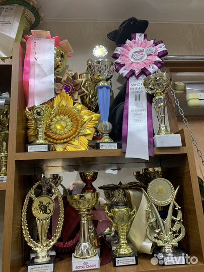 Кубки, наградные розетки