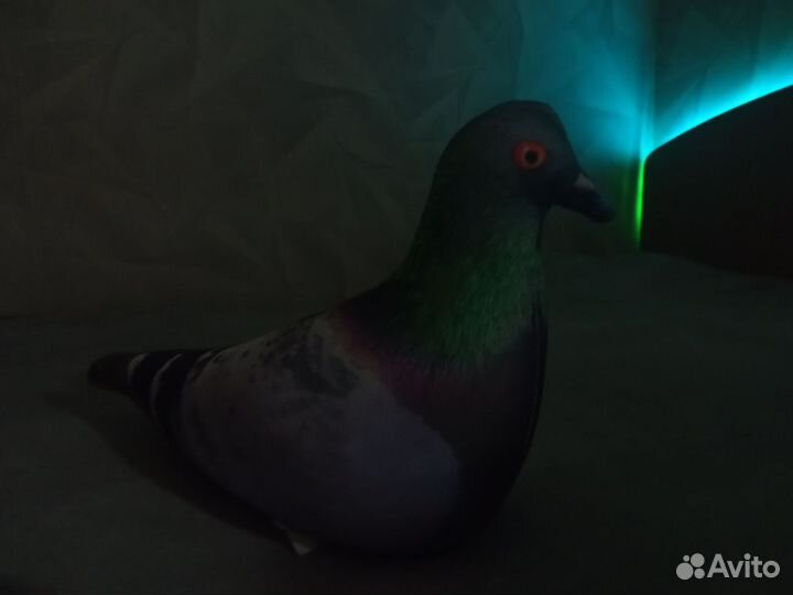 Мягкая игрушка голубь