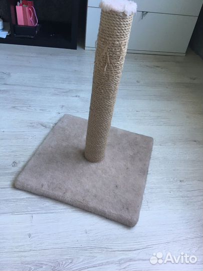 Когтеточка