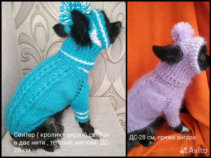 Вязаная одежда для собак