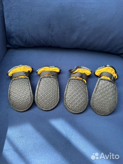 Обувь для собак