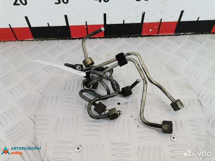 Трубка топливная Renault Megane 2 2004 8200591977