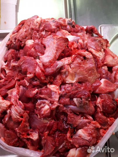 Говяжья обрезь для собак и кошек