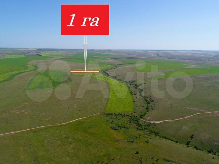 Участок 100 сот. (СНТ, ДНП)