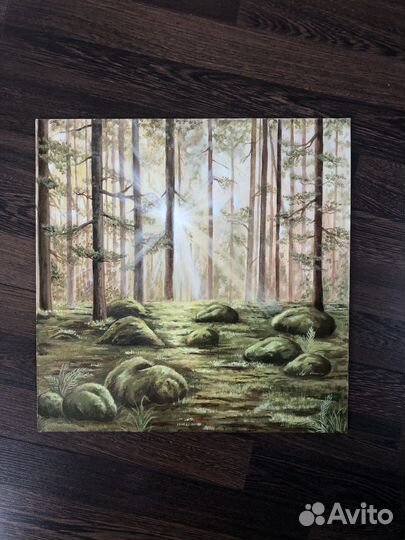 Картина маслом лес 40*40