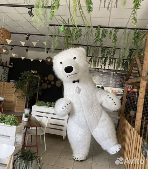 Поздравления/Аниматоры на все праздники/ Аэромишка