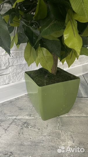 Искусственные цветы в горшках