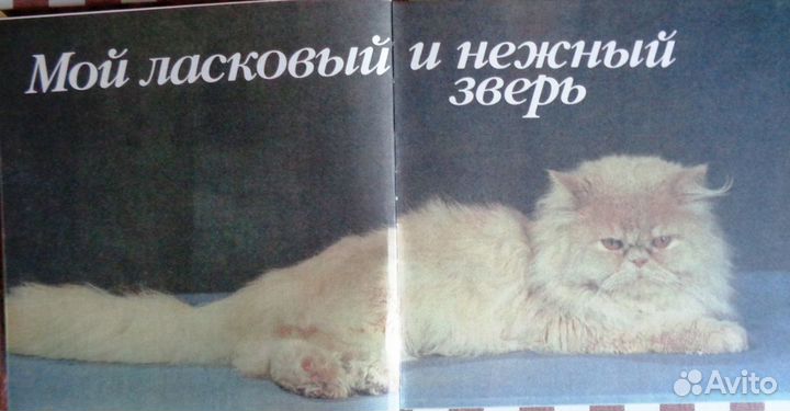 Мой ласковый и нежный зверь. Фотоальбом