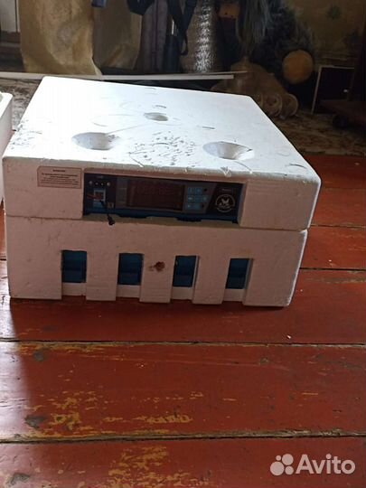 Инкубатор для яиц автоматический бу