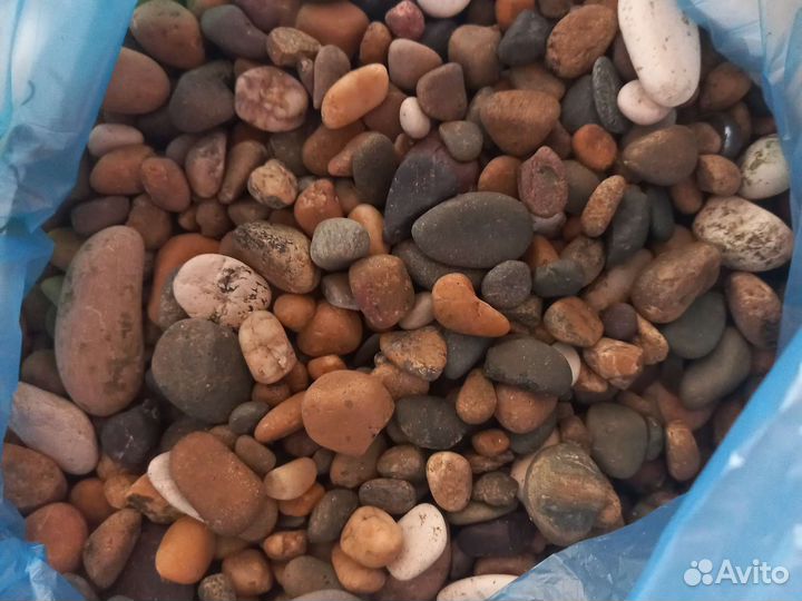 Для аквариума