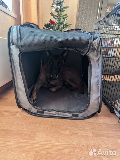 Тент складной для собак