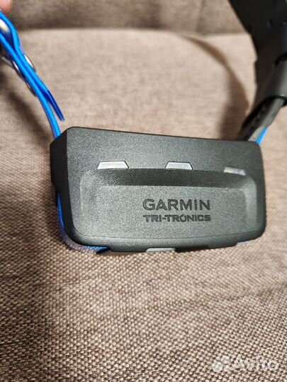 Новый ошейник Garmin T5 (Русская версия, лай)