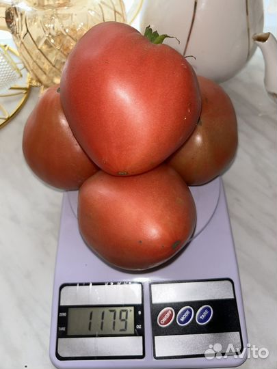 Помидоры домашние