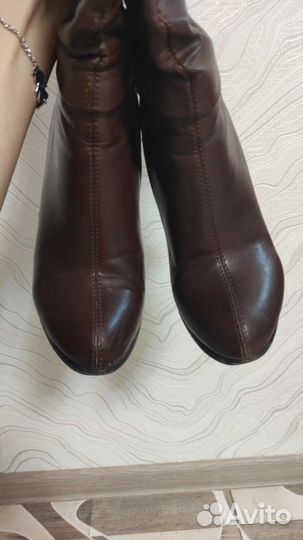 Сапоги женские демисезонные