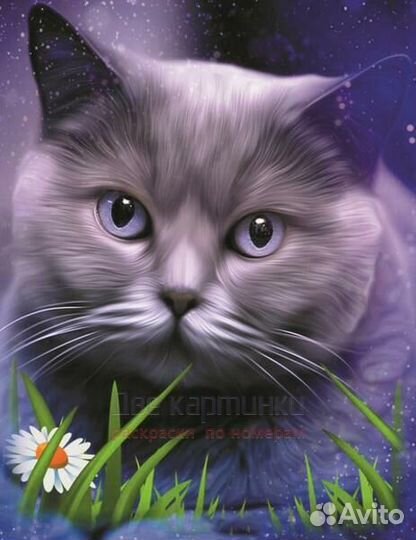 Алмазная мозаика 40x50 Большой серый кот и ромашка