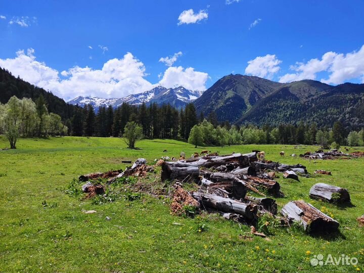Экскурсии в Домбай / Эльбрус / Чегемские Водопады