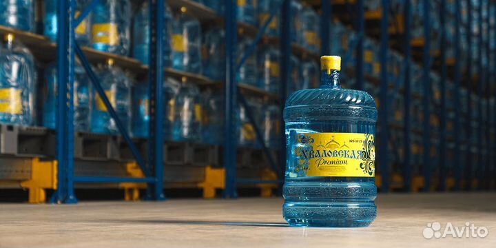 Водитель со своим авто Газель