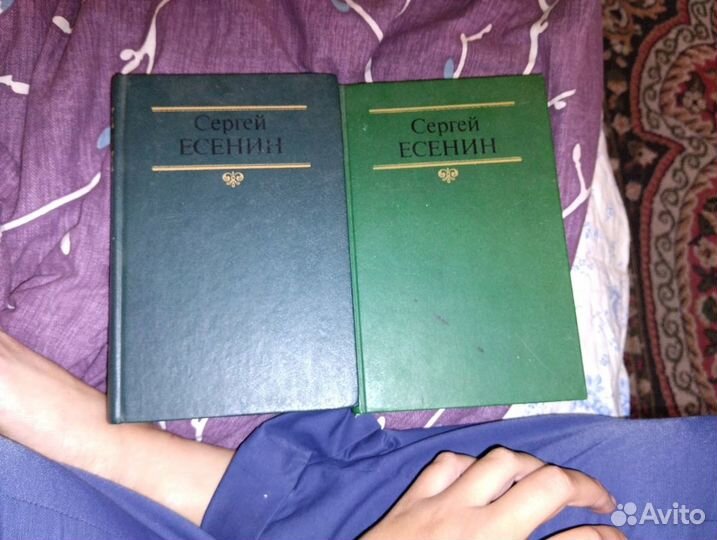 Книга,лермонтов,есенин,ильф,петров