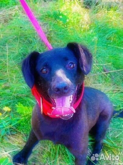 Молодая девочка с добрым характером в хорошие руки