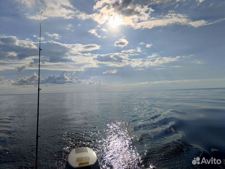 Northsilver 360 Honda 10