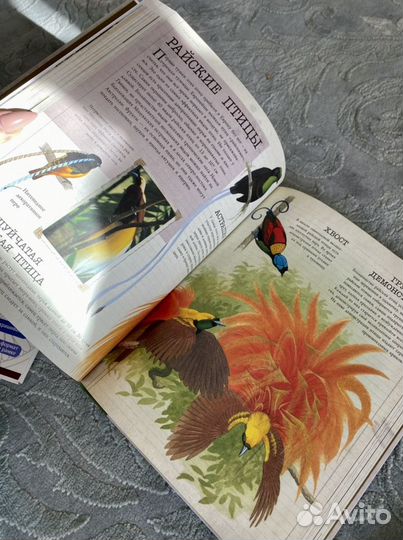 Новые детские энциклопедии