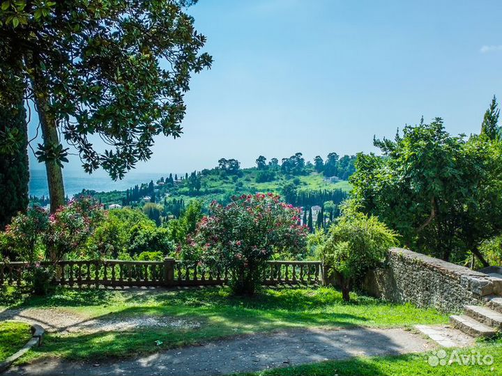 Экскурсия — Гагра — Новый Афон иРица: поездка изГа