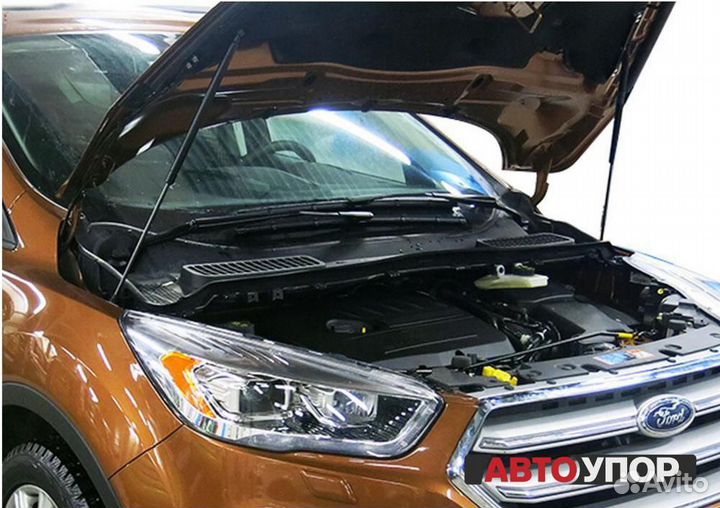 Газовые Упоры Капота Ford Kuga 2 (2016)