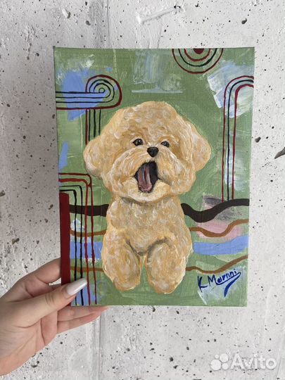 Картина Бишон фризе