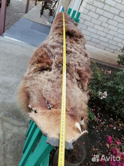 Шкура медведя имитация