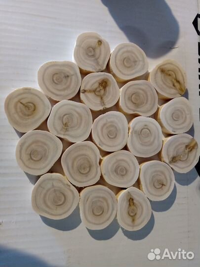 Можжевельник, срез,спил подставка, в наличии