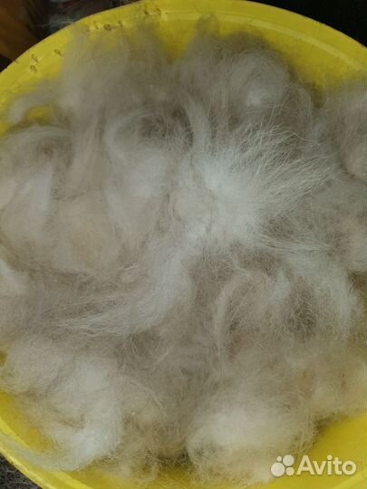 Шерсть собачья