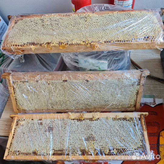 Мед в сотах