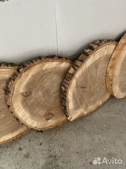 Срезы белого клена