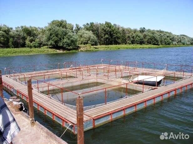 Рыбоводные садки для рыбы