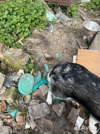 Аксессуары