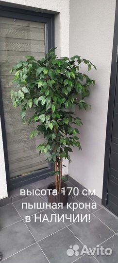 Искусственное дерево фикус