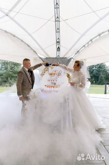 Ведущая / тамада