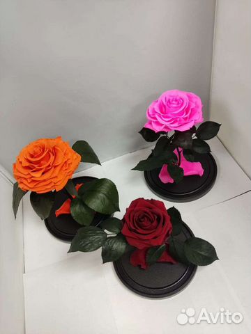 Роза в колбе оптом и в розницу