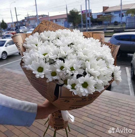 Хризантема Букеты с доставкой