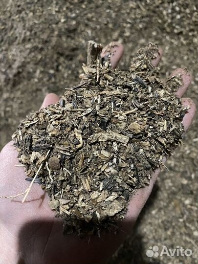 Отход семечки